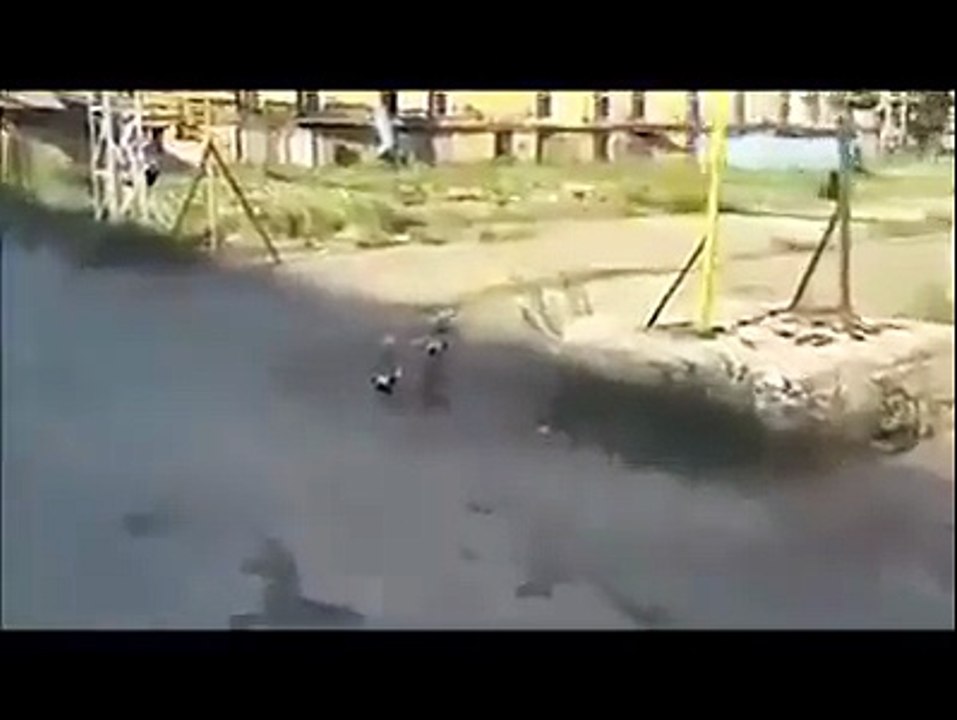 full funny animal video clip