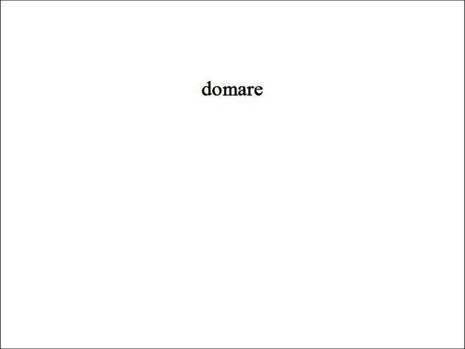 Lateinvokabeln II-K10SF