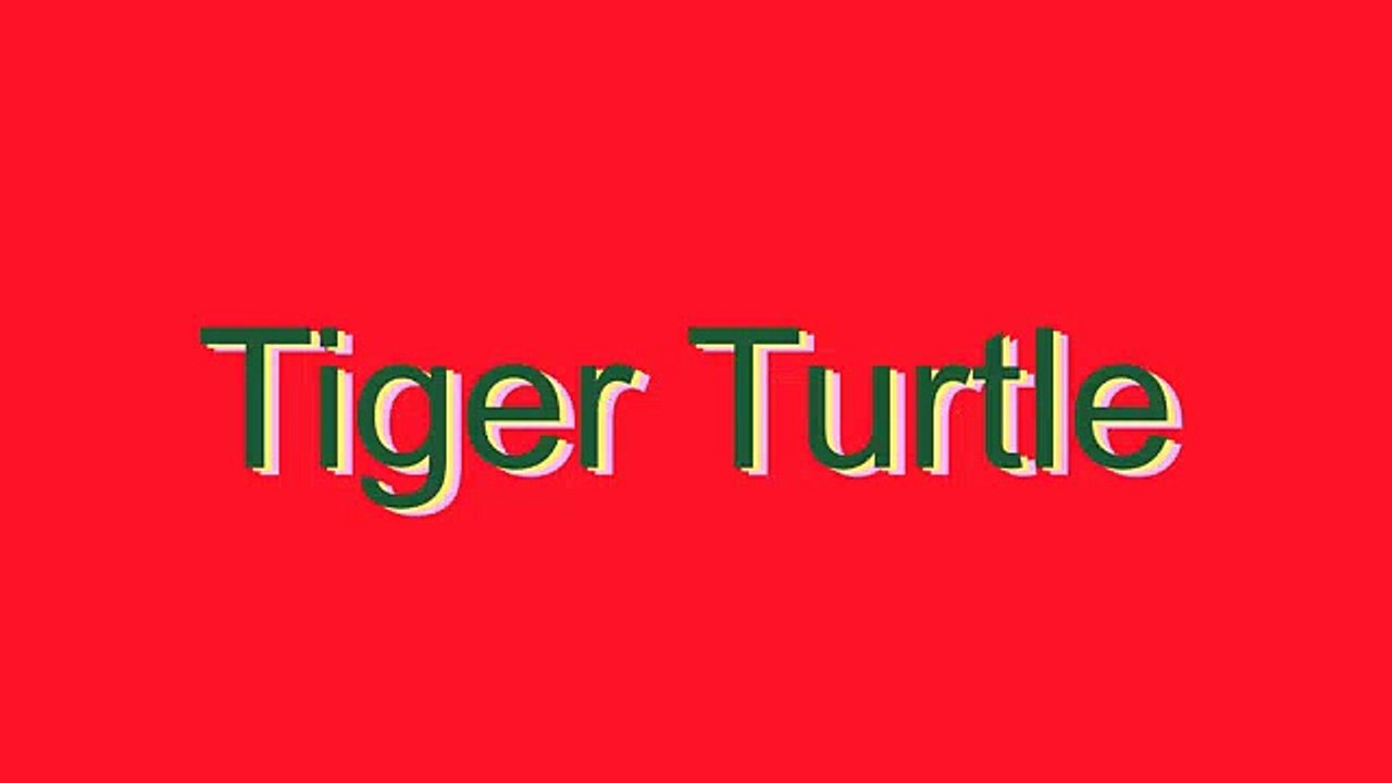 How to Pronounce Tiger Turtle