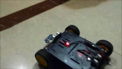 Obstacle and Fall Avoidance