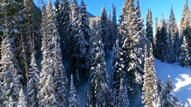 Jupiter 8000 - Rubber Dub ☆彡