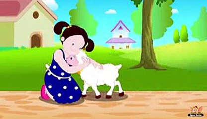 Gopal Var-5: Key Highlights