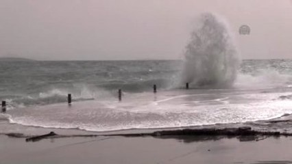Didim'de Lodos Etkili Oluyor