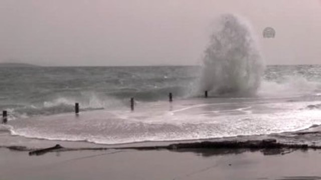 Didim'de Lodos Etkili Oluyor