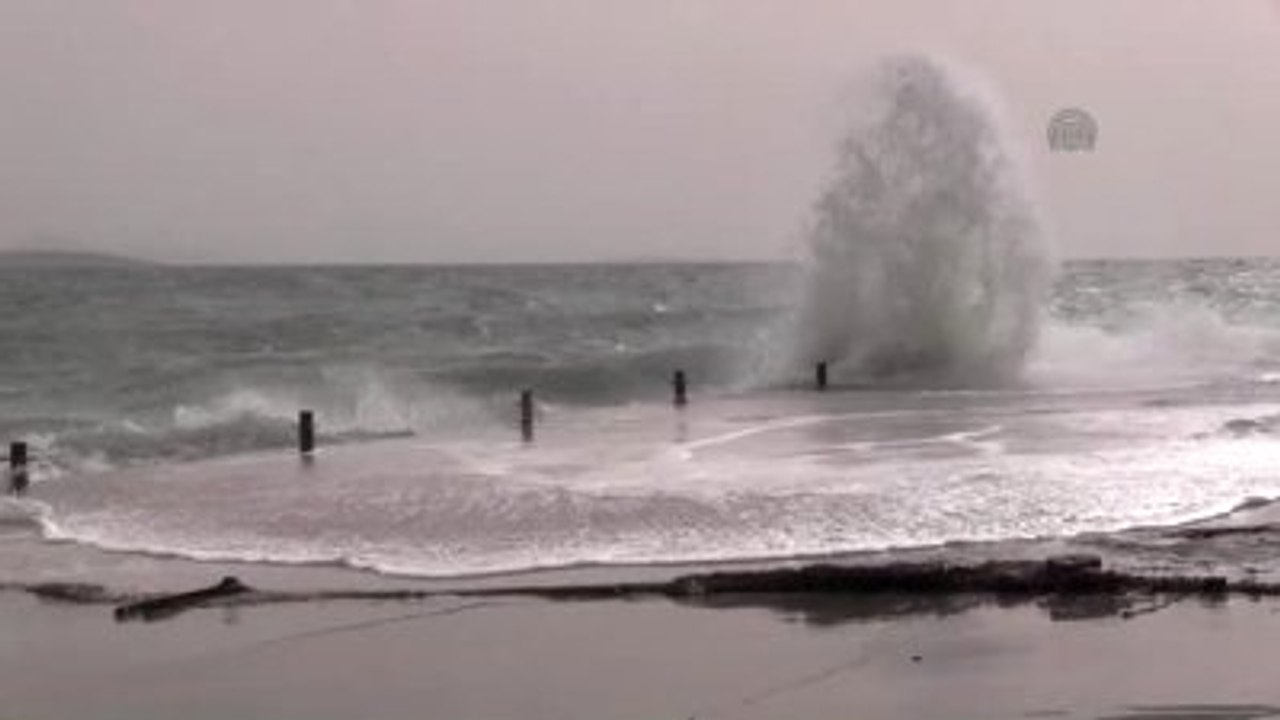 Didim'de Lodos Etkili Oluyor