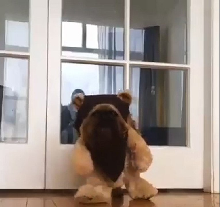 funny clip
