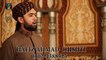 Sub Sy Ala o Ala Hamara Nabi | Album : Jashan Manao Sarkar aa gaye | Hafiz Muhammad Ahmad Chisthi