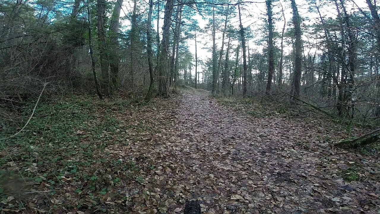 L'hiver pour leTeam LDN VTT