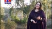 Saima Naz 2015 Pashto HD songs Gora Yari Grana Da Yara Zama