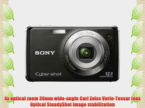 Sony Cyber-shot DSC-W230 12.1 MP Digital Camera with 4x Optical Zoom and Super Steady Shot