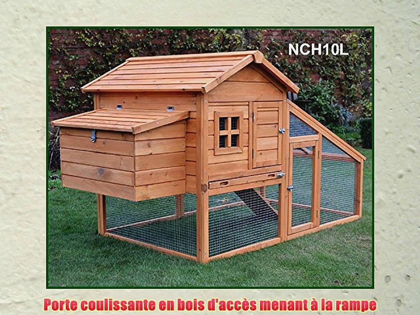 Feelgooduk Poulailler Volailles Rampe Daccs Et Tiroir Djections Nch10 L Dor