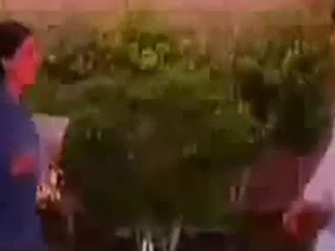 Shehzad Roy Tera Mukhra Haseen love song