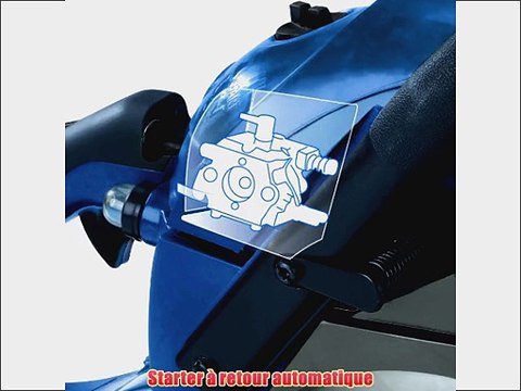 Einhell BG-PC 4040 / 4501373 Tron?onneuse thermique