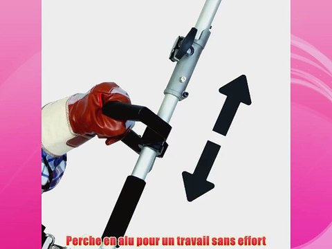 Einhell BG-PC 2625 T / 4501630 ?brancheur thermique sur perche Bleu