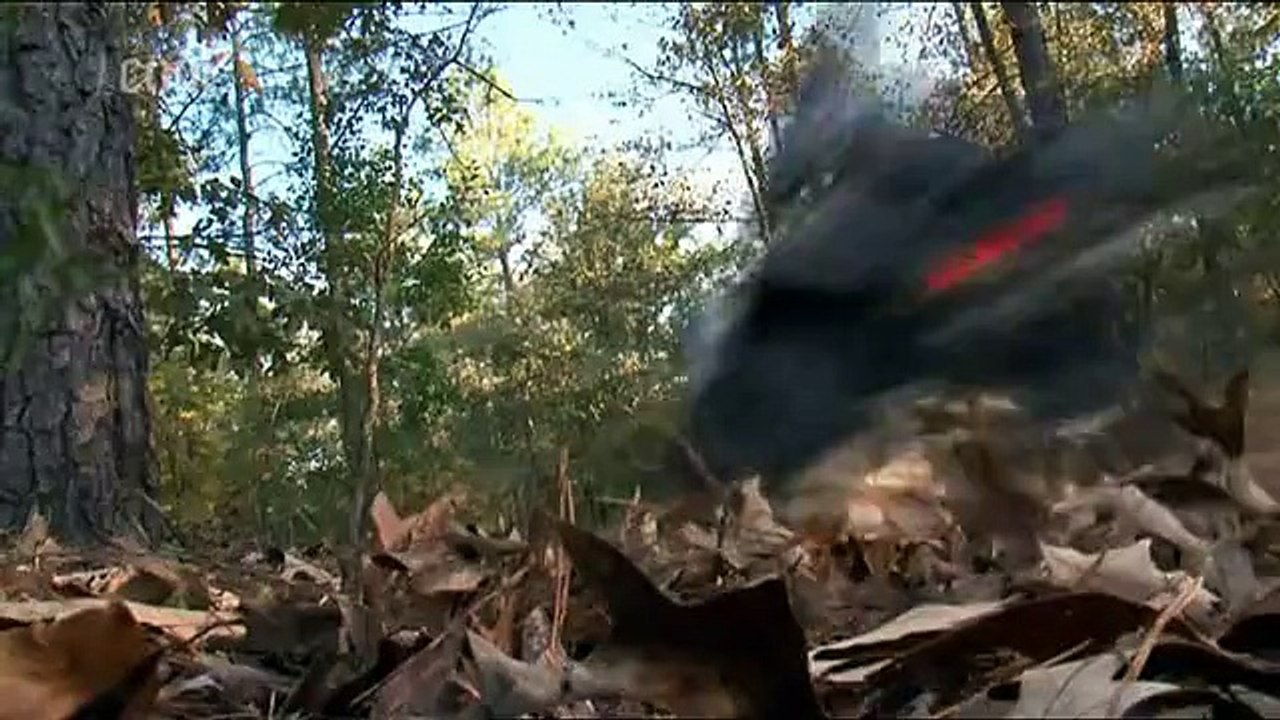 Dobyvatelé-ztracené-pravdy 3x14 Duchové-Petry-a-ještěrčí-muž