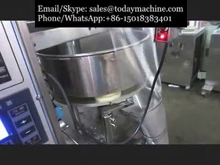 Emballage équipements Machine Bean ou aliments enfants Triangle Bag