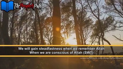 Mind Your Own Business By Mufti Ismail Menk