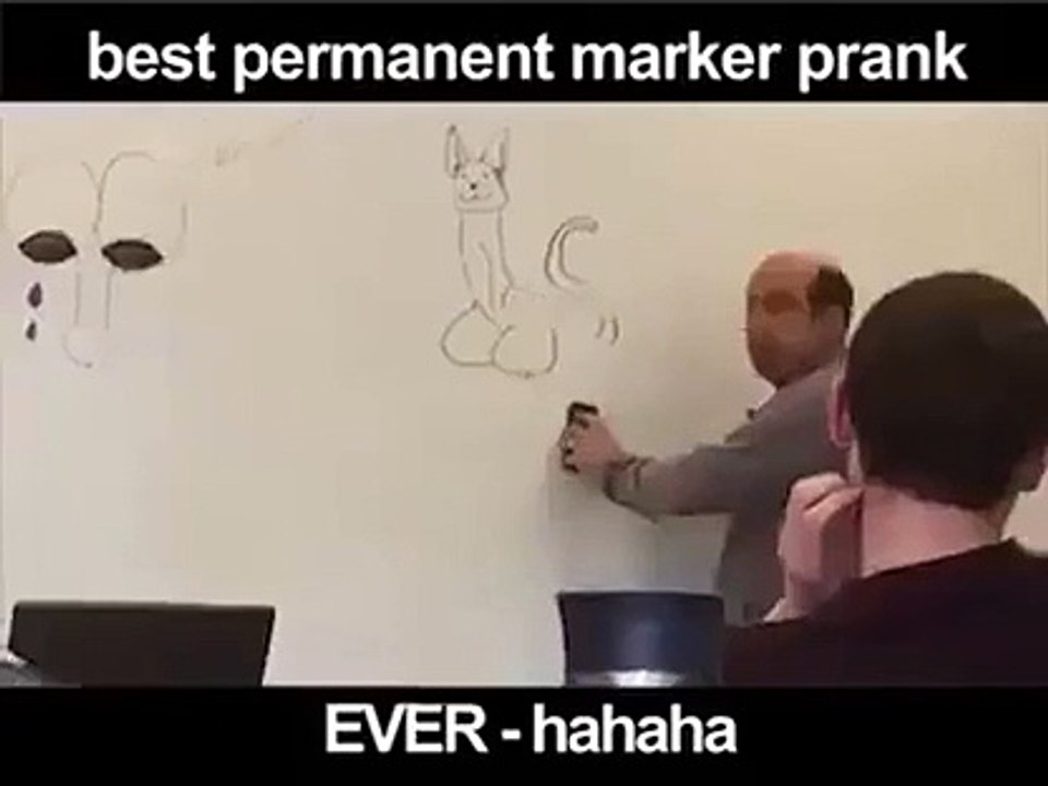 Best prank ever