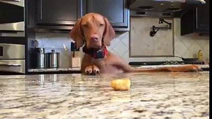 Appetite is great motivator........! I need food.!