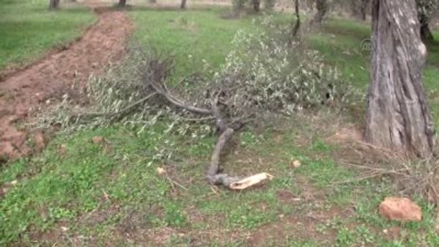 Edremit Körfezi'nde Kuvvetli Lodos - Balıkesir/bursa/