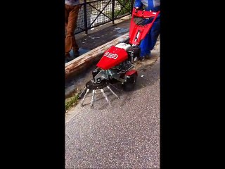 Mosquito H Nimos par Data Green