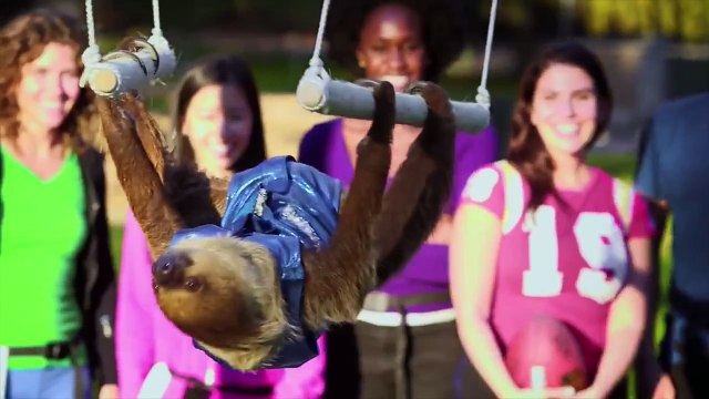 Top 10 Super Bowl Commercials 2015 (NFL Super Bowl XLIX) (HD)
