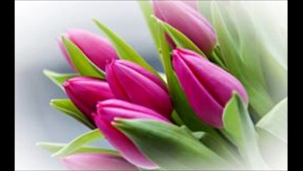 BEST VOICE  DROOD IBRAIM