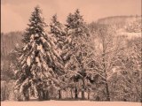 L'Hiver dans les Vosges : Paysages de neige