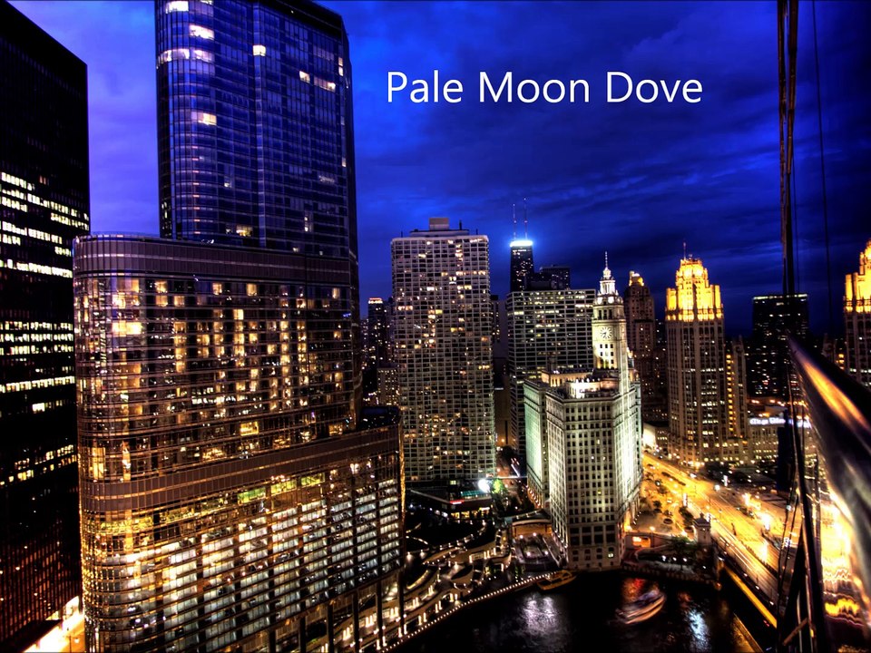 Pale Moon Dove