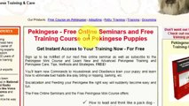 Pekingese Puppy Care - Tips On How To Do Pekingese Puppy Care