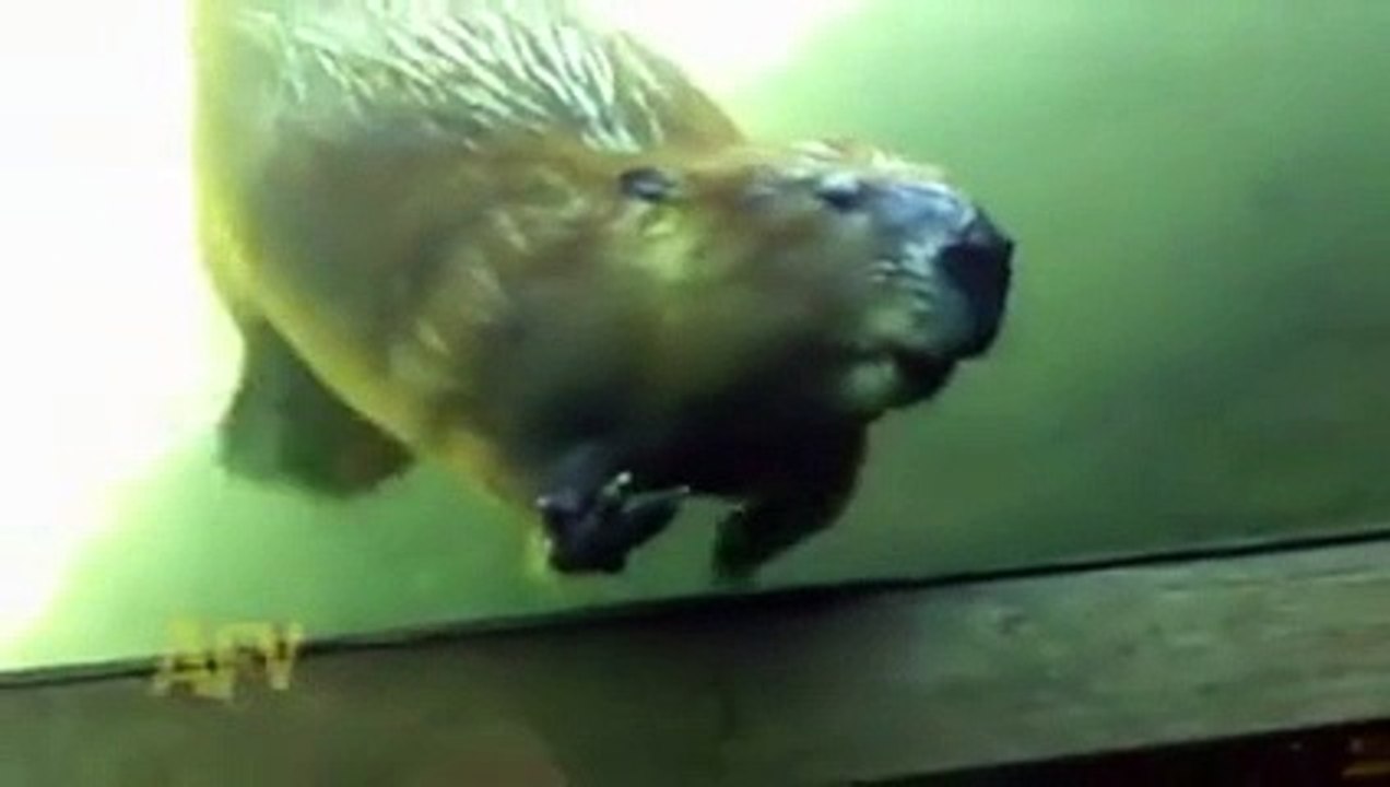 Hi! Hi! Hi! Hi! Tag a friend to say hi!