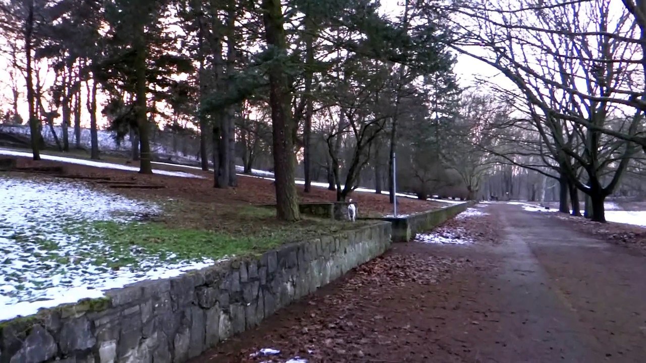 ein spaziergang mit kessy