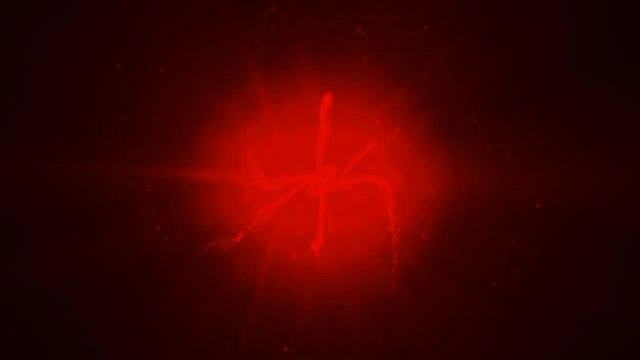 JL BOURG - BOULOGNE/MER ! Supporters, à vous de jouer !