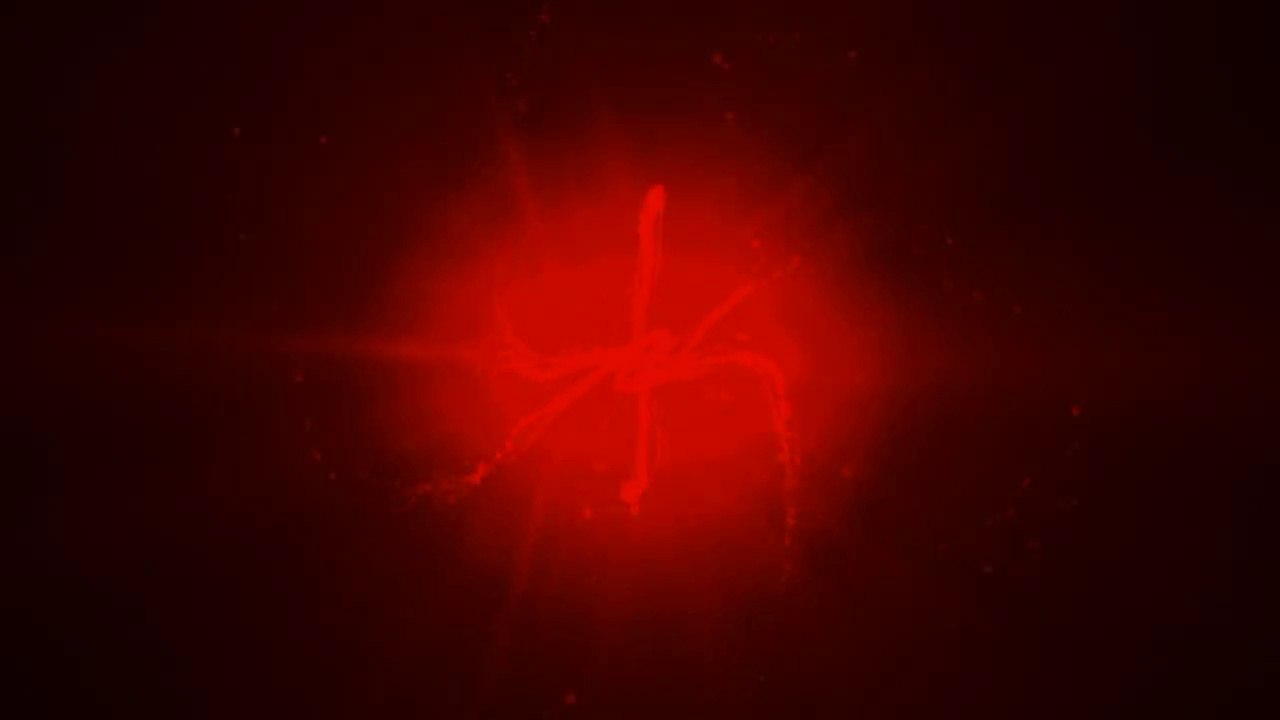 JL BOURG - BOULOGNE/MER ! Supporters, à vous de jouer !