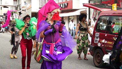 Cavalcade de Cayenne partie 2, dimanche 01 février 2015