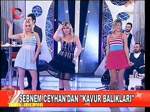 FLASH TV-ŞEBNEM CEYHAN-KAVUR BALIKLARI-EVLERE ŞENLİK PROGRAMI-TÜRK MEDYA SUNAR.