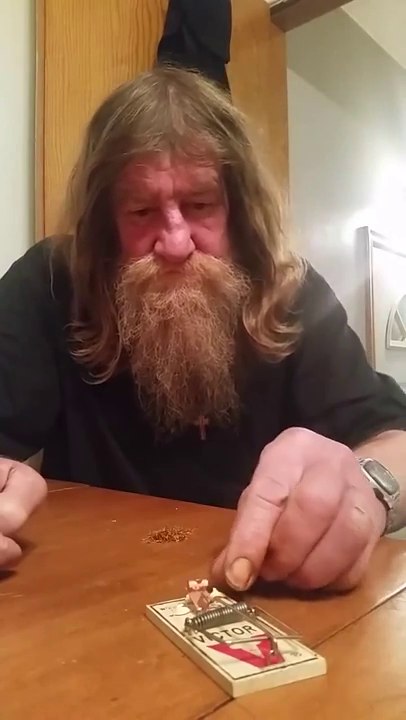 Ivre, il joue au jenga avec une tapette à souris