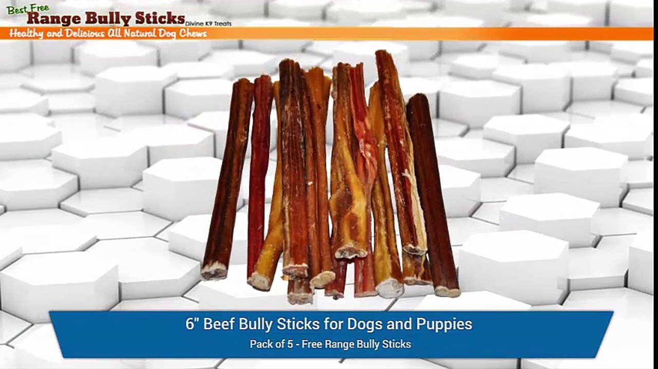 BullySticks