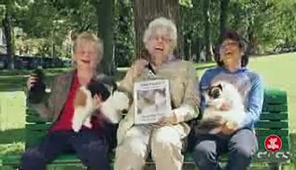 Cat Split In Half.3gp