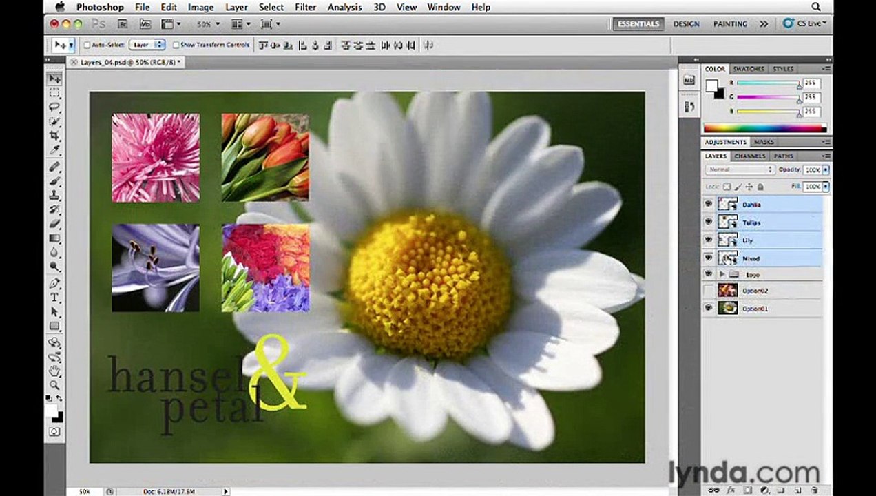 Getting Started What is Photoshop CS5 Learn Photoshop