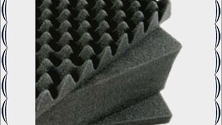 1495 - Replacement Foam - 3Pc