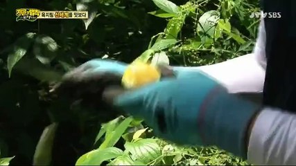 ­카­지­노­­바­카­라­하는곳こ▶ＳＵＭ２００ㆍＣＯＭ ◀さ­카­지­노­­바­카­라­하는곳