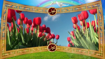 Aysel Vəlizadə - Peyğəmbərimiz (s.ə.v) zəngin idi