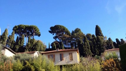 A vendre - Appartement - Nice (06100) - 2 pièces - 39m²