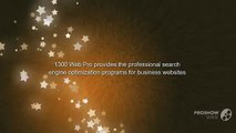 1300 Web Pro – Increase your website rankings in search engines with the help of our SEO services