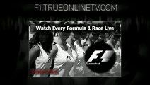F1 2015 Fernando Alonso Jerez Tests Mclaren Honda [Formula 1 Jerez Test]