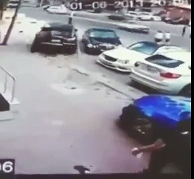 Кот псих напал на собаку и на женщину