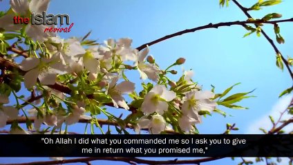 The Patience Of Ayub (AS)    Emotional Reminder