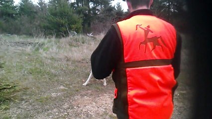 concours afaccc 42 laché Simon Coudour Phillipon