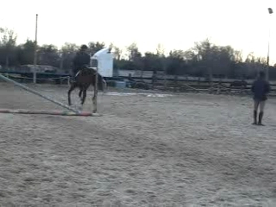 Cours d'obstacle